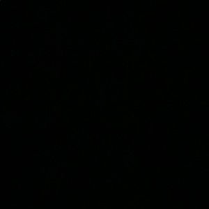 Meet your Posher, Max